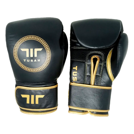 Origin Boxing Gloves