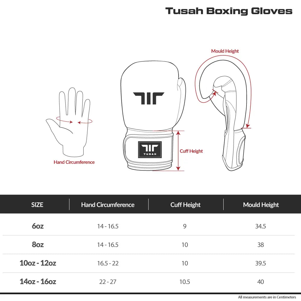EZ-Fit Boxing Gloves