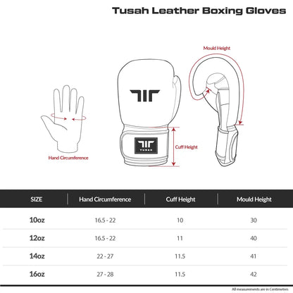 Premium Boxing Gloves