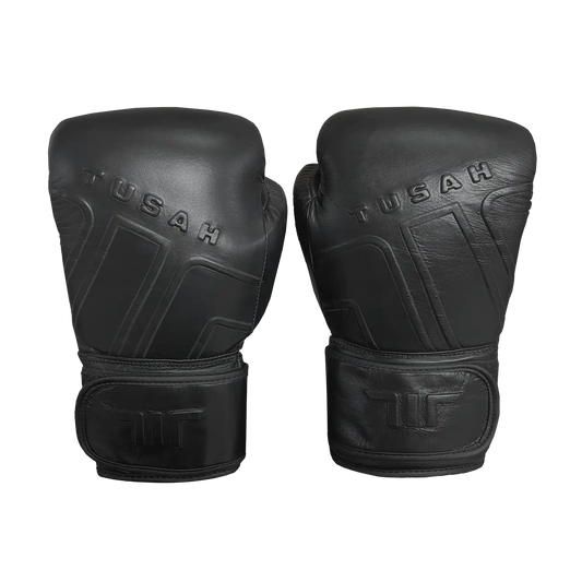 Premium Boxing Gloves