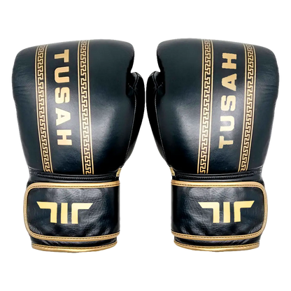 Elite Boxing Gloves