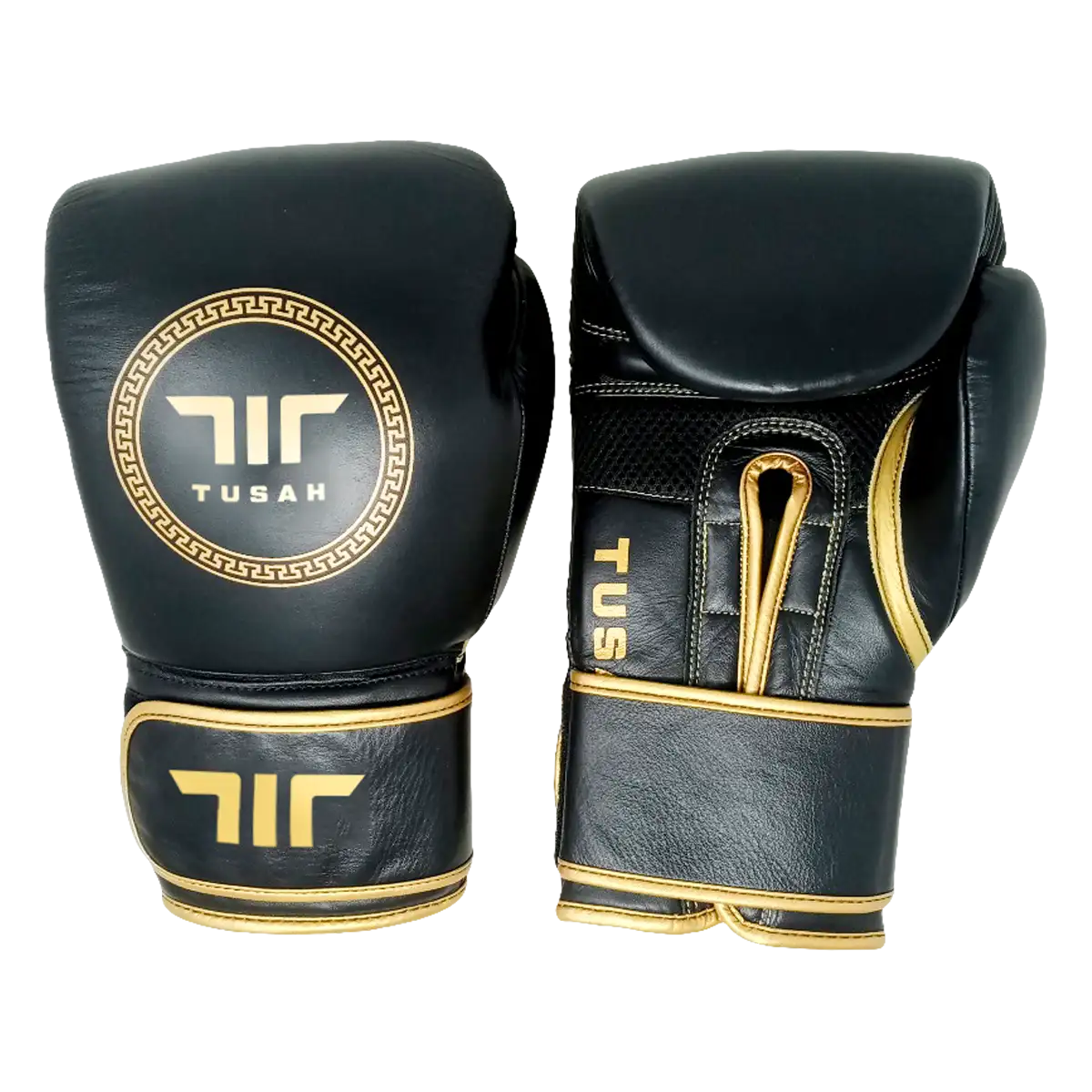 Origin Boxing Gloves