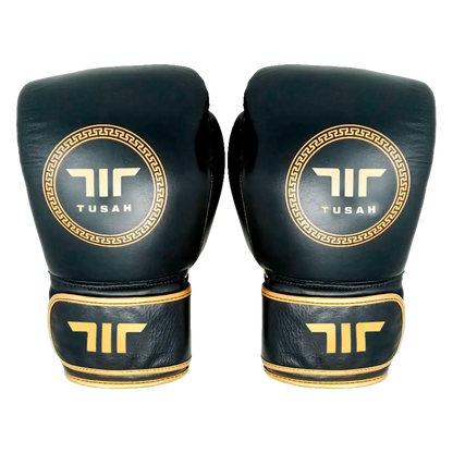 Origin Boxing Gloves
