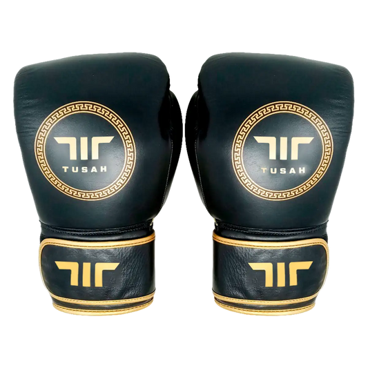 Origin Boxing Gloves
